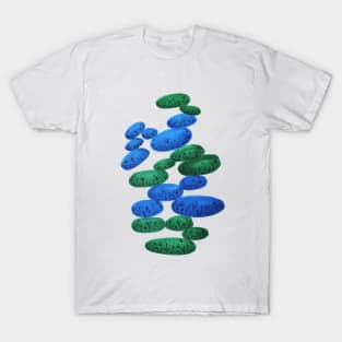 Flower Stones T-Shirt